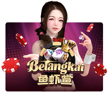 Belangkai
