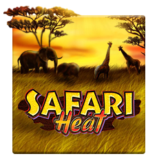 SAFARI HEAT
