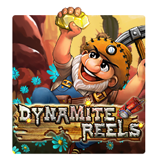 DYNAMITE REELS