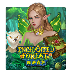ENCHANTED FOREST