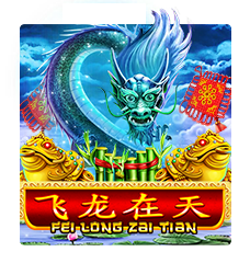 FEI LONG ZAI TIAN