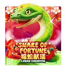 SNAKE OF FORTUNE