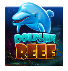 Dolphin Reef