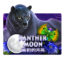 Panther Moon