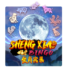 Sheng Xiao Bingo