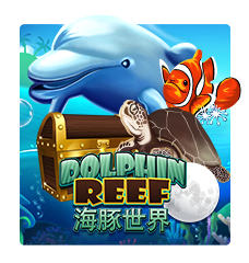 Dolphin Reef