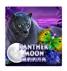 Panther Moon