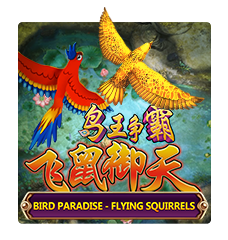 Bird Paradise
